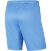 Nike Park III BV6855-412